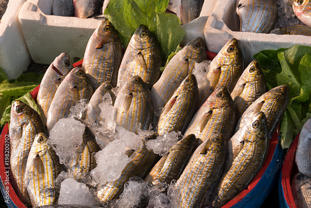 Fish on the market of Side, Turkey