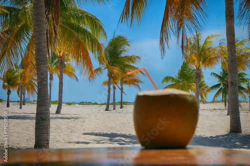 A coconut with a straw stands on a table amidst wild palms on a tropical island. Focus on the background.