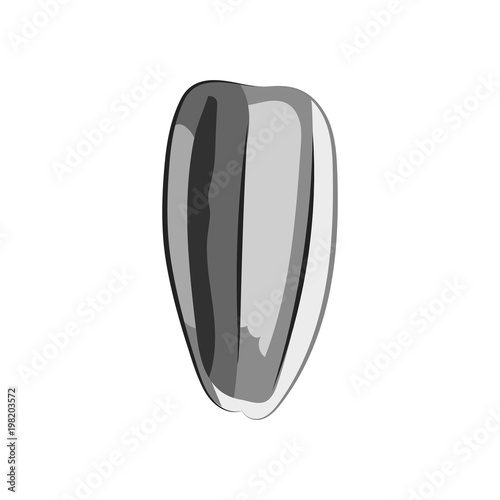Ripe sunflower seed, detailed vector