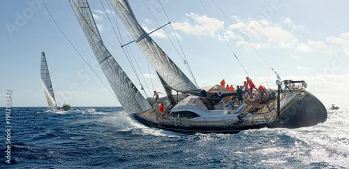 Obraz Regaty jachtów żaglowych. Żeglarstwo. Żeglarstwo