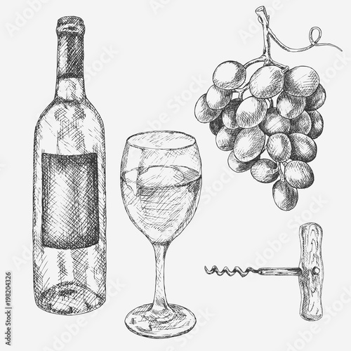 Grape wine set. Vector illustration with wine glass, grapes, bottle. Hand drawn alcoholic drink sketch