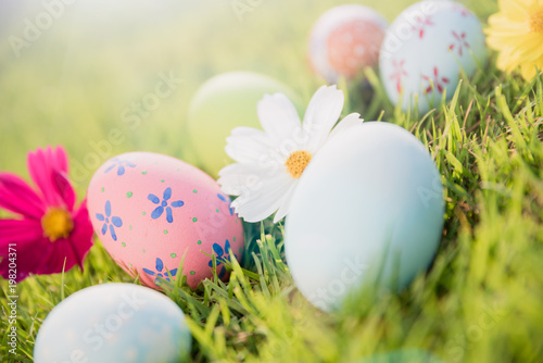 Happy easter! Closeup Colorful Easter eggs on green grass field during sunset background.