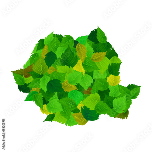 Romanian map made of leaves