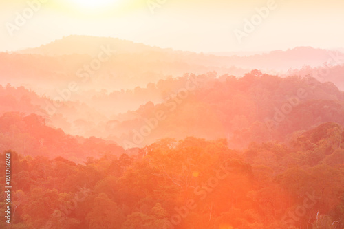 Golden sunrise shines on a mountain and tropical forest.