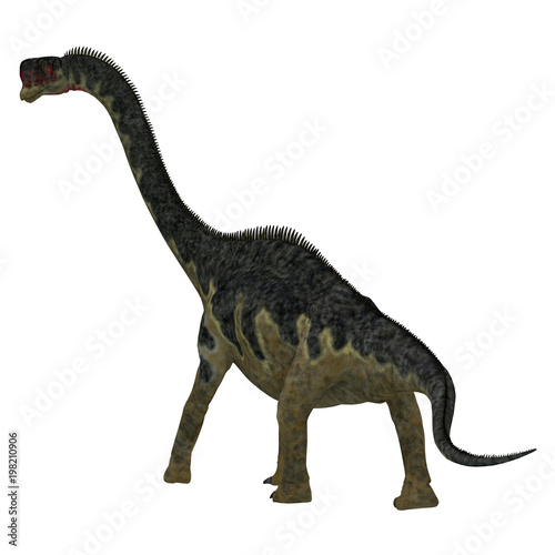 Europasaurus Dinosaur Tail - Europasaurus was a sauropod herbivorous dinosaur that lived in Germany  Europe during the Jurassic Period.