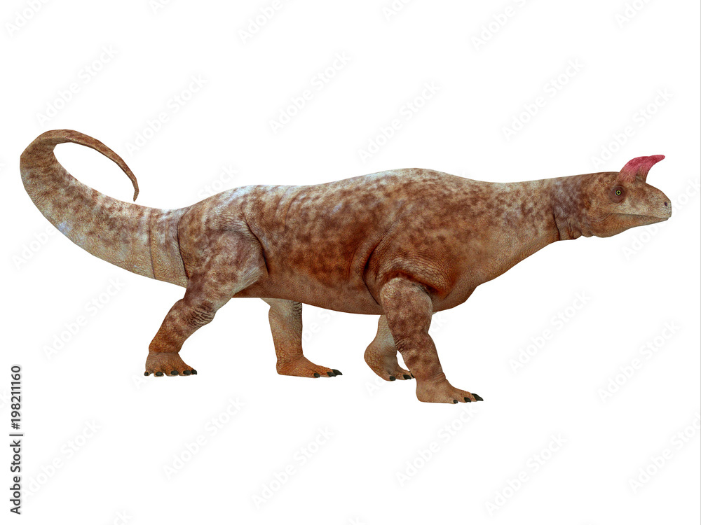 Fototapeta premium Shringasaurus Dinosaur Side Profile - Shringasaurus was a herbivorous sauropod dinosaur that lived in India in the Triassic Period.