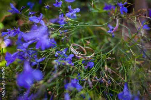 wessing ring on the nature photo