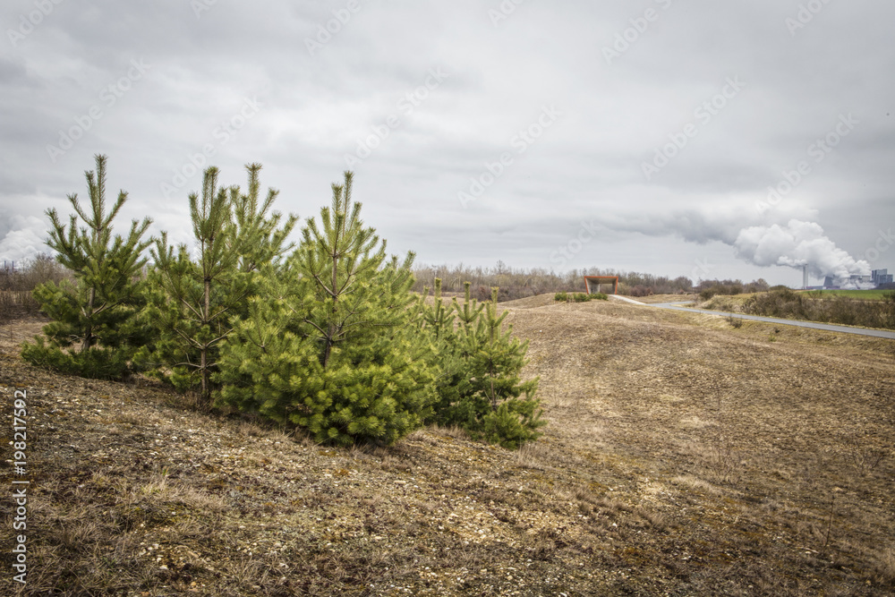 Obraz premium Terra Nova