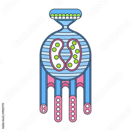 Simplest microorganisms. Science of studying bacteria and viruses. Flat vector cartoon illustration. Objects isolated on white background.