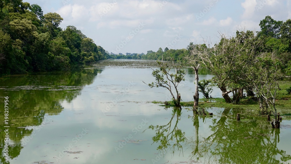 Obraz premium Landschaft bei Ankgor bei Siem Reap in Kambodscha