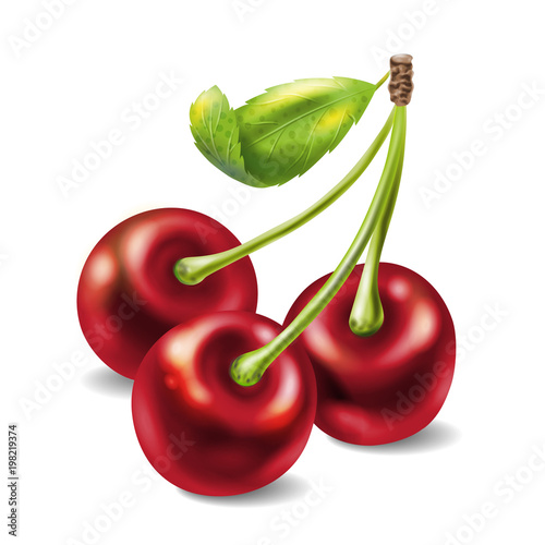 Bunch of three cherries with stems and leaf. Vector illustration isolated on white background.