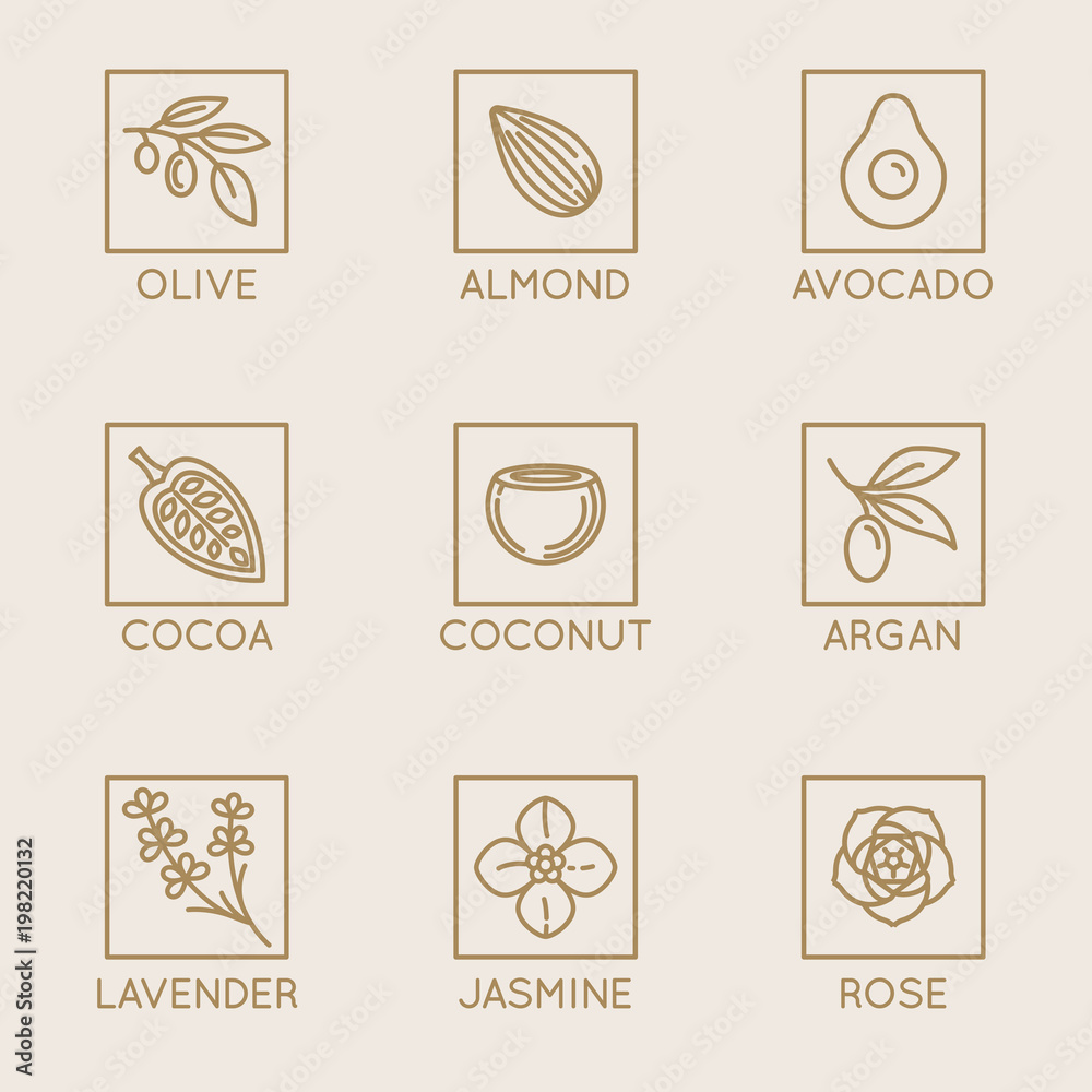 Vector set of natural ingredients and oils for cosmetics in linear style - packaging design templates and emblems