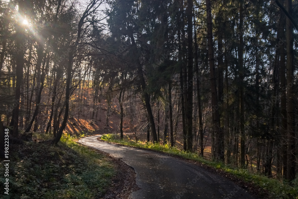 Letzte Sonnenstrahlen im Wald Letzte Sonnenstrahlen im Wald