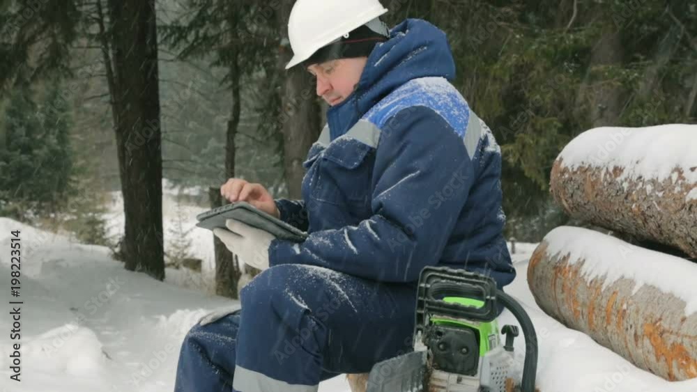 Worker with tablet computer on big pile of logs in winter forest Worker with tablet computer on big pile of logs in winter forest