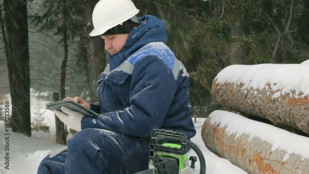 Worker with tablet computer on big pile of logs in winter forest Worker with tablet computer on big pile of logs in winter forest