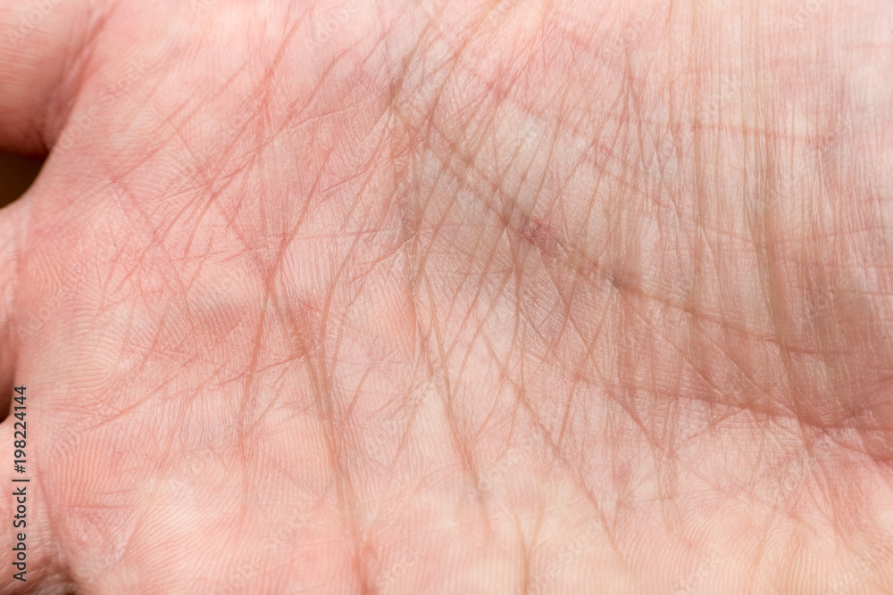 Fototapeta premium palm reading lines