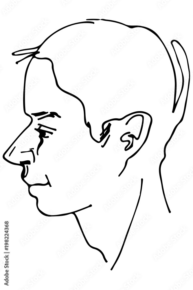 vector sketch of a beautiful man profile