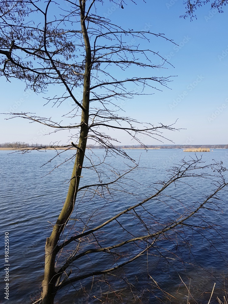 Fototapeta premium Stawy Milickie