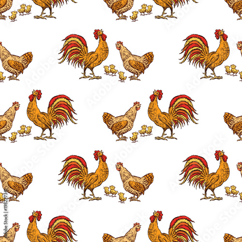 pattern of a hen, a cock and their chickens