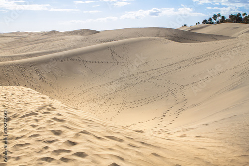 Maspalomas Sand Dune Desert  Grand Canaria