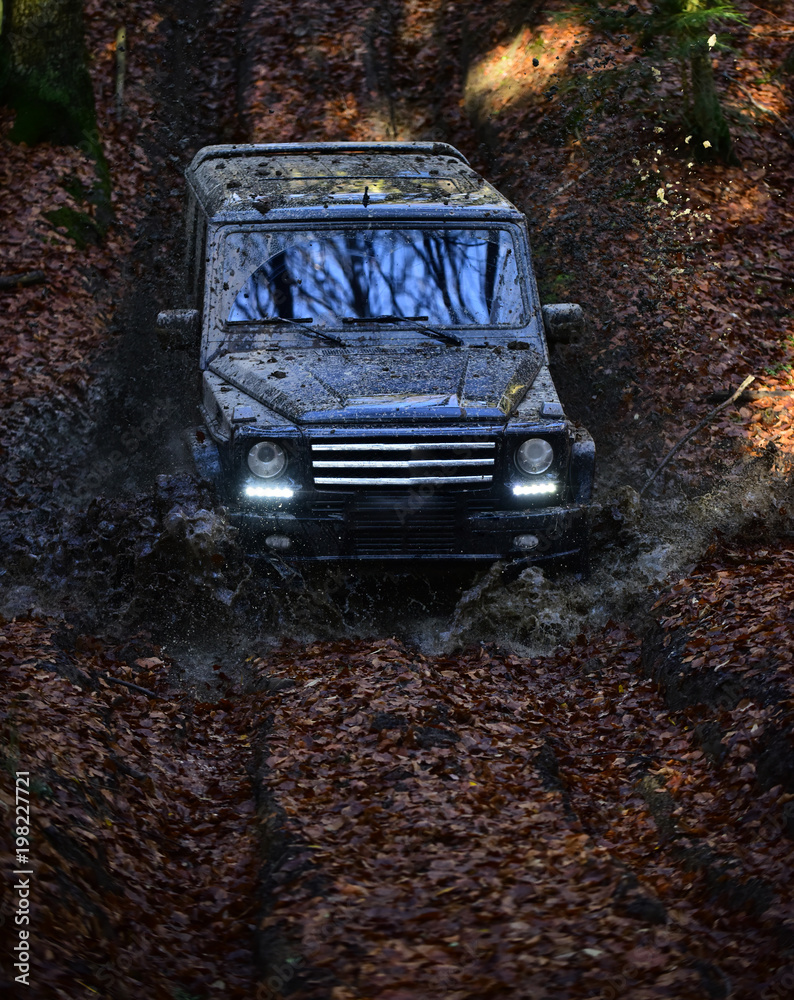 Dirty offroad car with fall forest on background.