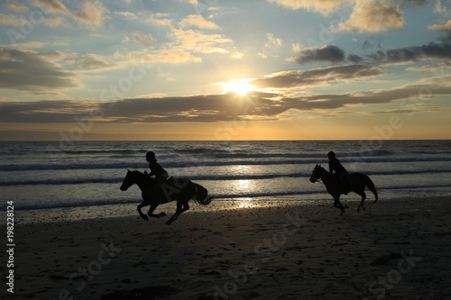 Silhouettes of horses on the beach of the ocean at sunset photo