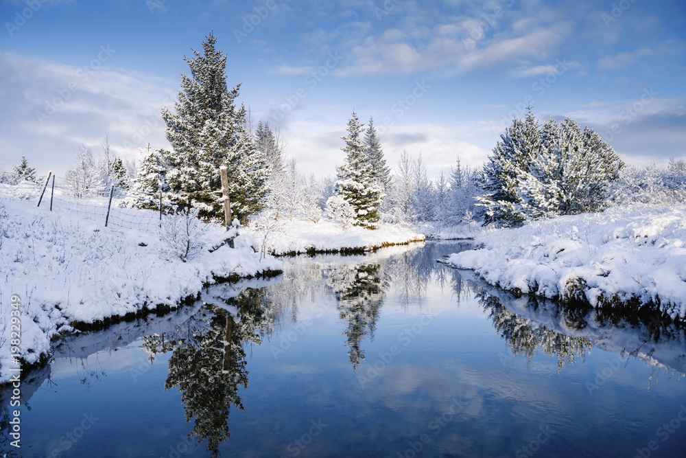 Scenic view of trees by stream amidst snow covered field Scenic view of trees by stream amidst snow covered field