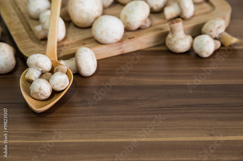 mushroom concept. kitchen art. mushrooms and kitchen concept. mushrooms on the wooden background.