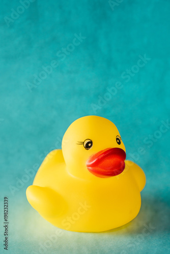 Yellow rubber duck toy on blue background