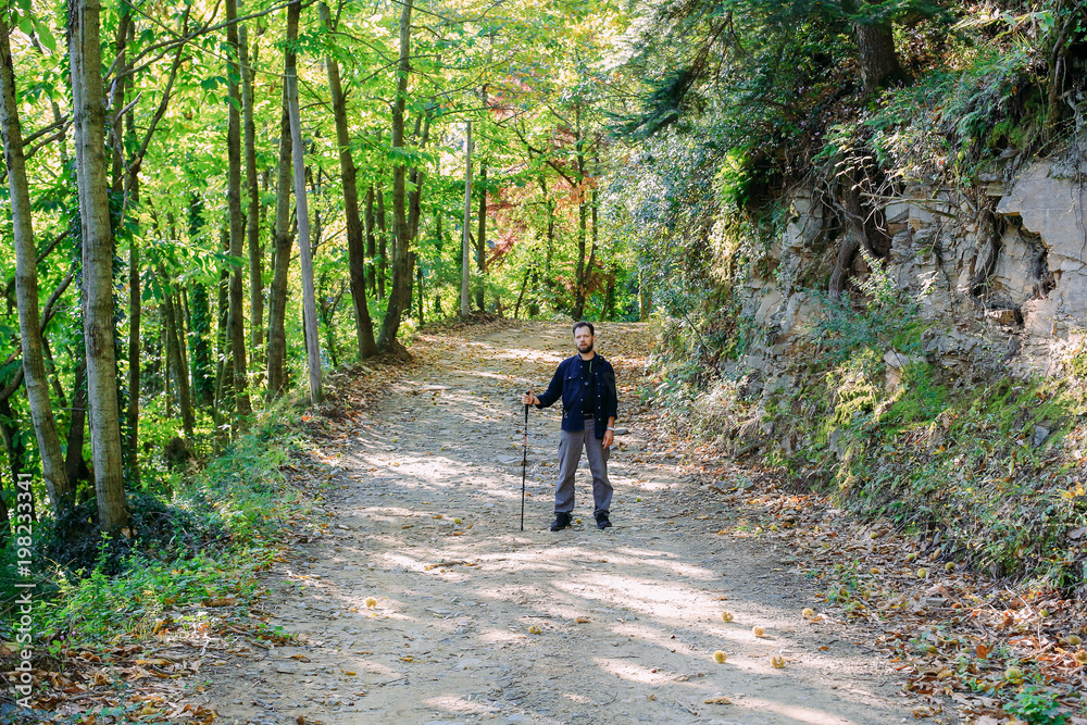 Travel and hiking along the forest path in autumn season - Young man walking in woods holding stick