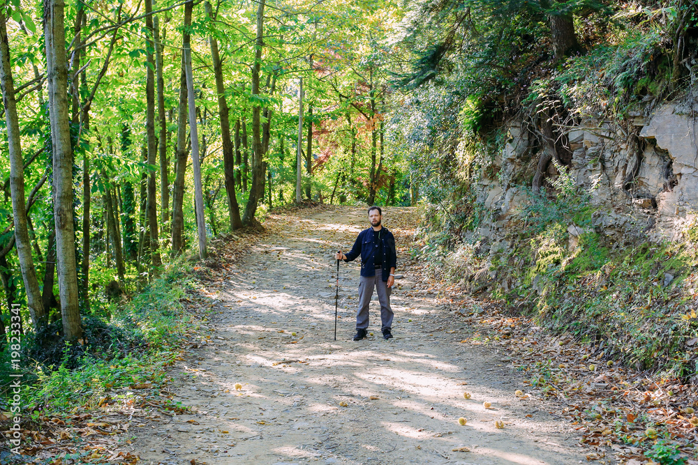 Travel and hiking along the forest path in autumn season - Young man walking in woods holding stick Travel and hiking along the forest path in autumn season - Young man walking in woods holding stick
