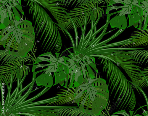Jungle. Green leaves of tropical palm trees, monstera, agave. Drops of dew, rain. Seamless. Isolated on black background. illustration