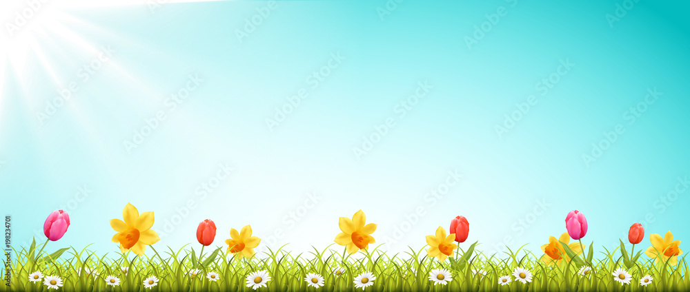 Frühling Wiese mit Blumen und Sonne
