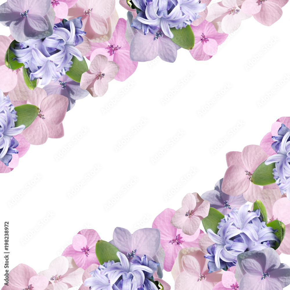 Beautiful floral background of hydrangea and hyacinth Beautiful floral background of hydrangea and hyacinth