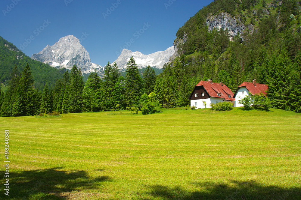 A mountain meadow with peaks on background, Totes Gebirge, Austria A mountain meadow with peaks on background, Totes Gebirge, Austria
