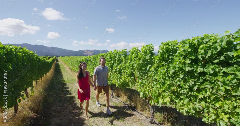 Romantic couple holding hands in vineyard walking by grapevines on wine tour in wine region visiting winery. People on holiday enjoying wine tasting experience in summer valley landscape. SLOW MOTION.