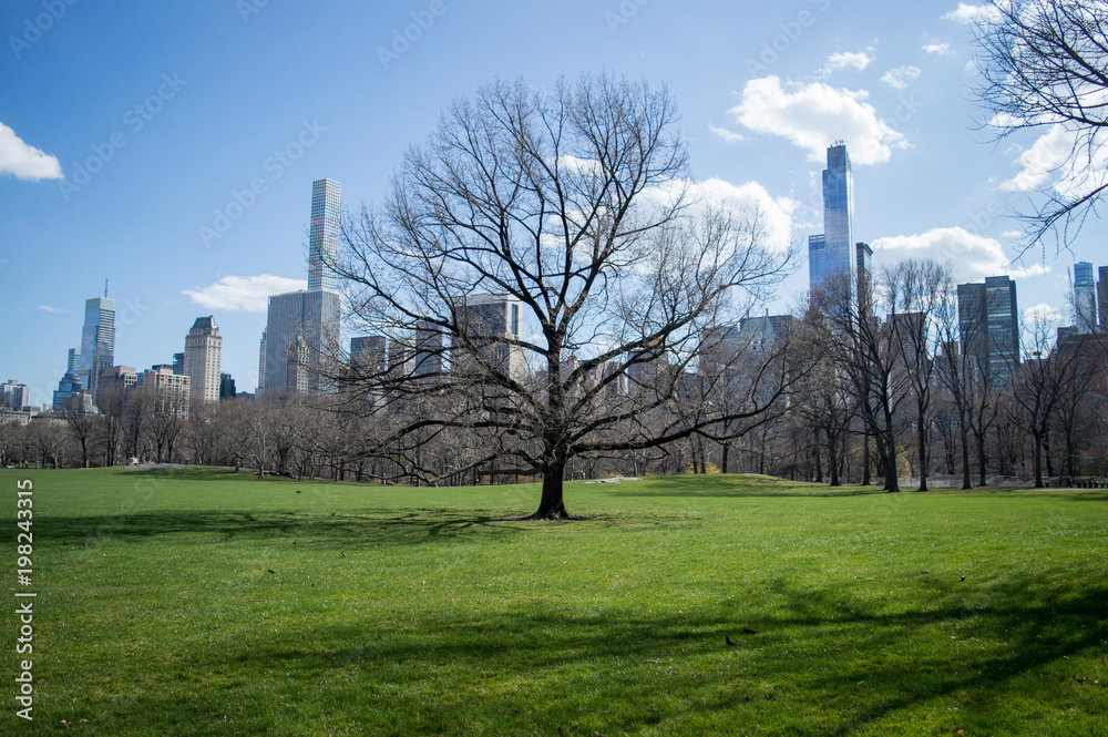 View of famous Central Park and New York skyline on a sunny day in early spring with bare tree, NY, USA