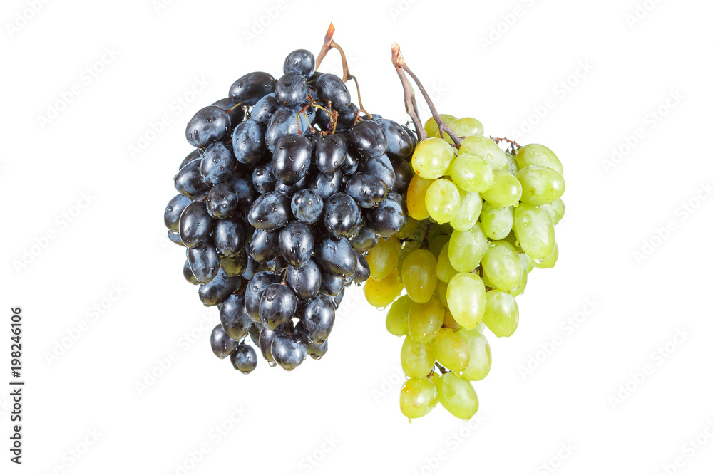 Fototapeta premium blue and green grape dropped into water with splash isolated on white