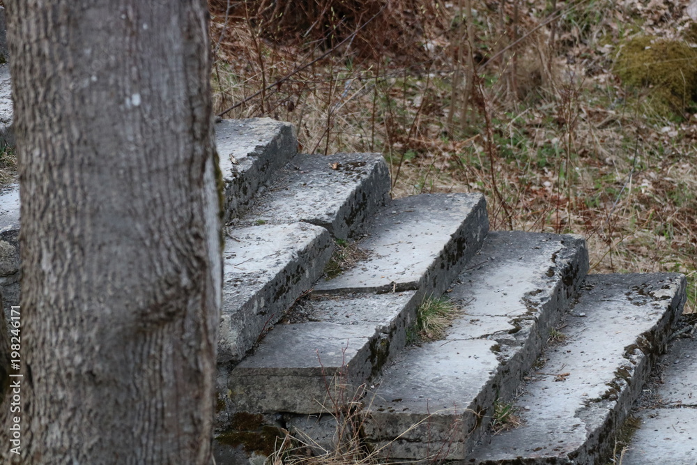 Stairway to the hill