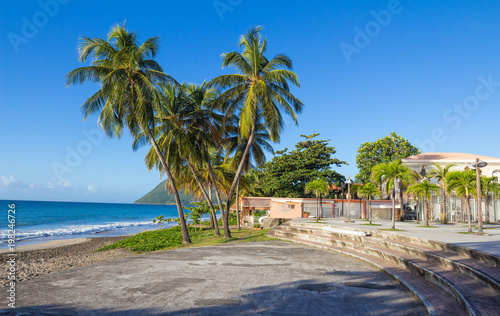 The palm trees on Caribbean beach  Martinique island.