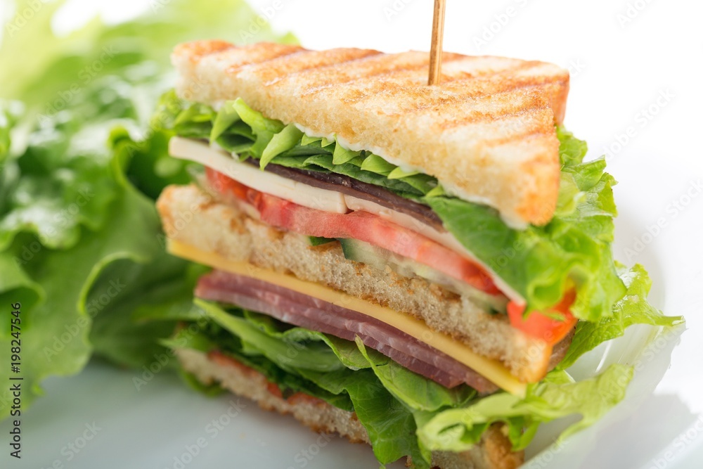 Fresh appetizing sandwich with vegetables Fresh appetizing sandwich with vegetables