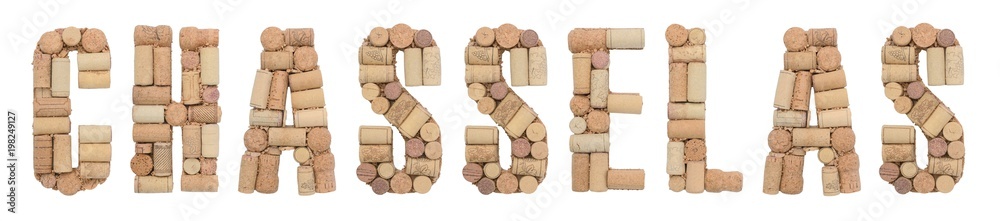 Grape variety Chasselas made of wine corks Isolated on white background