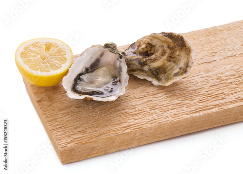 An open oyster and a closed oyster on a wooden board photo