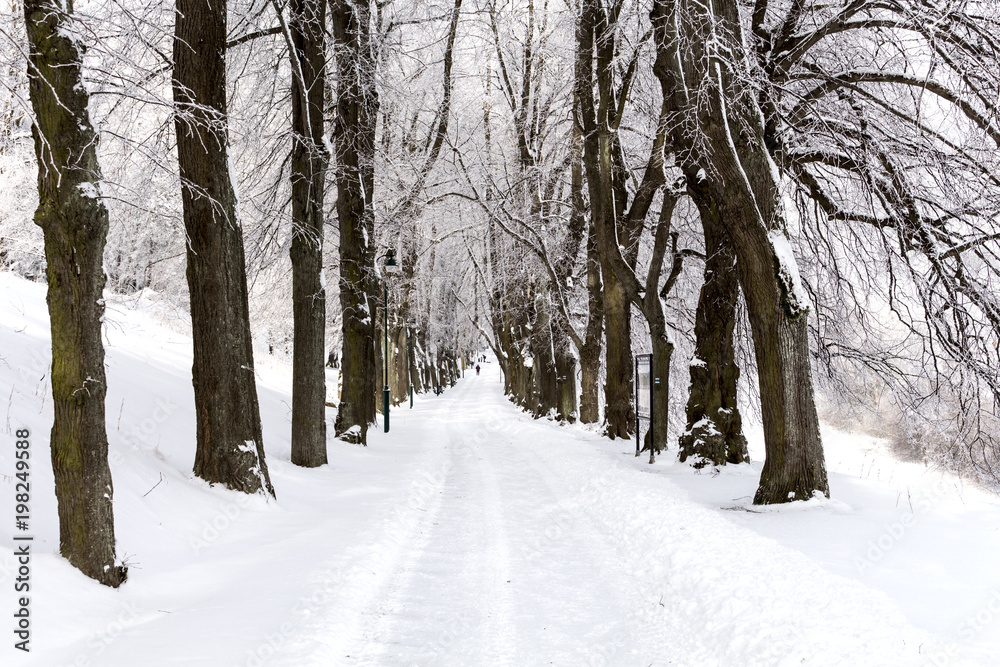 Road in the mountains covered with snow. Winter landscape. The concept of freedom and movement.