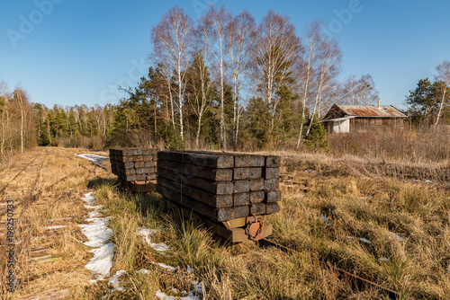 Wooden Plates in front of a old shrub in spring photo