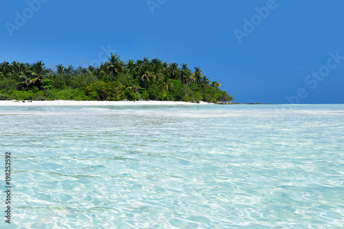 Wild Maldives island with sandy beach