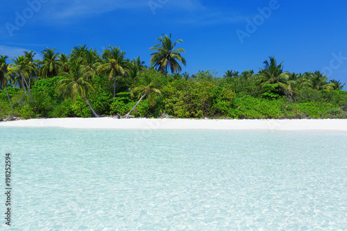 Fototapeta Naklejka Na Ścianę i Meble -  Wild Maldives island with sandy beach