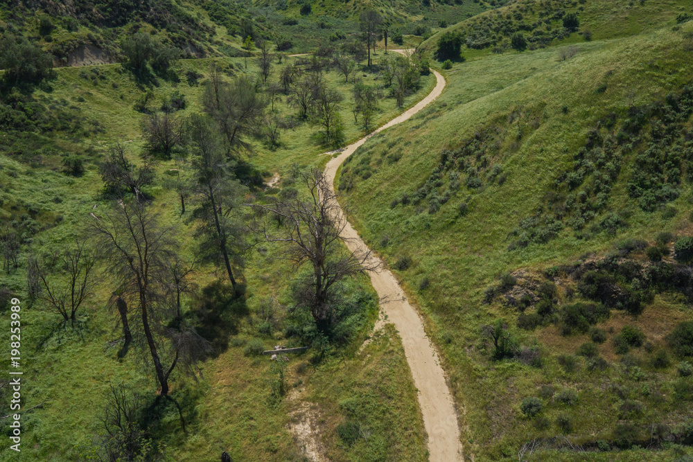 Dirt hiking trail leads through California woodland and grass hills.