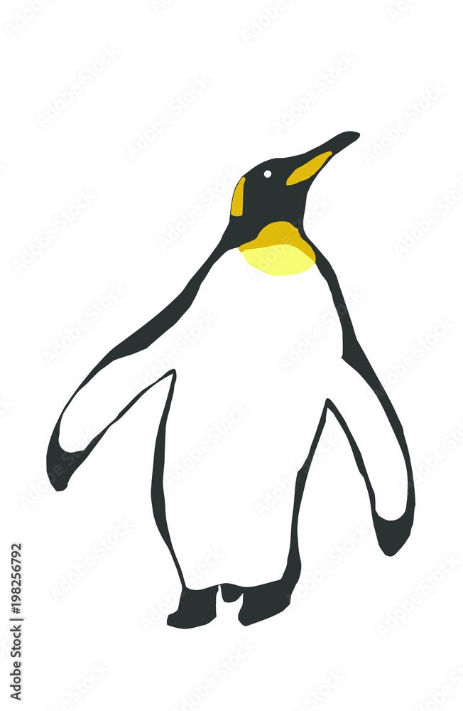 Fototapeta premium Emperor penguin illustration