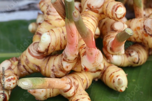 Galangal at the market